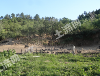 张家口赤城县 3000亩 其它林地 经营权转让