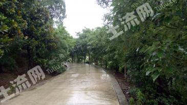 重庆巴南区60亩其它园地经营权转让