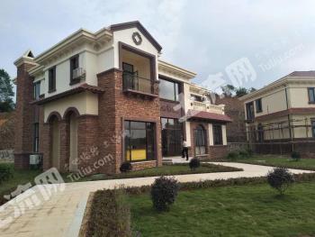 株洲荷塘区600平米商业及住宅-商业用地使用权转让