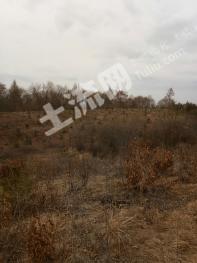 吉林梅河口  355亩 有林地 经营权转让