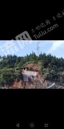 赣州龙南县 65亩 果园 经营权转让