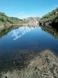 朝阳凌源市1000亩林地-有林地经营权转让