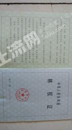 吉林桦甸市 90亩 有林地 经营权出租