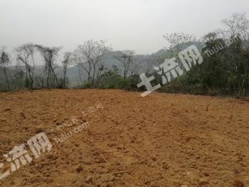 漳州长泰县 20亩 其它林地 经营权出租