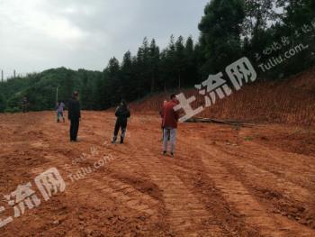 岳阳岳阳楼区 1000平米 宅基地 使用权出租