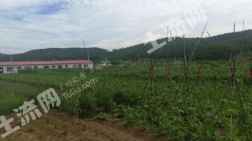 牡丹江东安区20000平米度假山庄出租