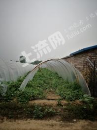 北京昌平区 兴寿镇 20亩 水浇地 经营权转让