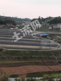 内江资中县 60亩 坑塘水面 经营权转让