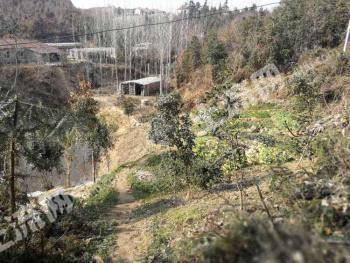 随州随县50亩其它农用地经营权转让