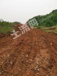 荆门京山市 1200亩 乔木林地 经营权转让