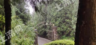 重庆万盛区黑山谷北门40亩林地-其它林地经营权转让