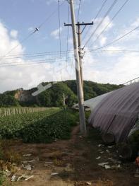 丹东振安区 7.55亩 旱地 经营权转让