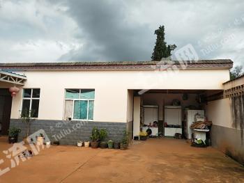 楚雄禄丰县60亩果园经营权出租