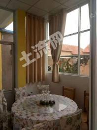 泰安新泰市 100亩 有林地 经营权转让