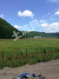 延吉市依兰镇九龙村国有建设用地 108亩 城镇住宅 使用权出让