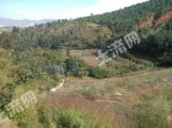 云南大理 9.8亩 水浇地 经营权转让