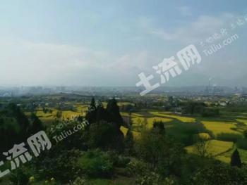 绵阳江油市 100亩 果园 经营权转包