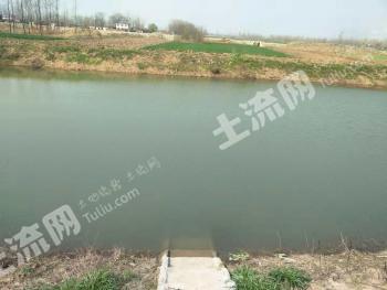 驻马店正阳县 30亩 人工牧草地 经营权出租