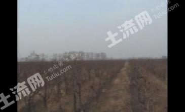 晋中祁县 26亩 水浇地 经营权 转让