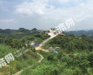 黔东南凯里市 500亩 旱地 经营权合作