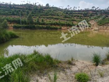 河源龙川县1000亩农场经营权合作