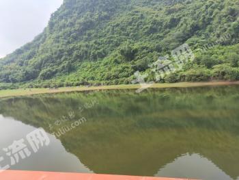 *韶关武江区700亩水田经营权出租