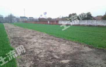 泰州泰兴市 20亩 农场 使用权出租