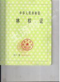 德宏盈江县 250亩 其它林地 经营权转让合作
