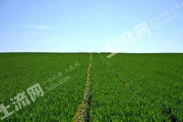 北京延庆区 17亩 水浇地 经营权合作