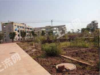 赣州章贡区 125平米 宅基地 使用权出租