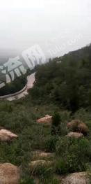 济南莱芜区 374亩 乔木林地 经营权转让