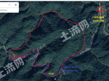 赣州瑞金市 320亩 有林地 经营权转让
