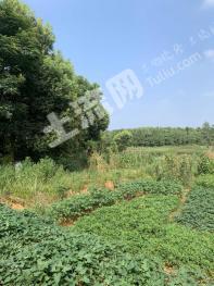 咸宁咸安区 6670平米 城镇住宅用地 使用权出让