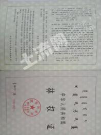 乌兰察布丰镇市 445亩 乔木林地 经营权转让