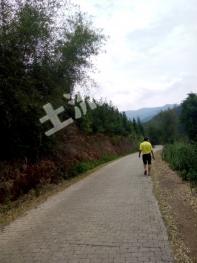 德宏芒市 100亩 有林地 经营权转让