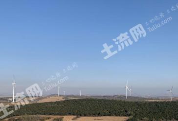葫芦岛南票区 350亩 其它林地 经营权转让