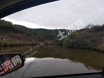 金华兰溪市 35亩 农场 使用权出租