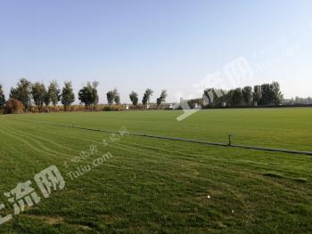 北京怀柔区 307亩 水浇地 经营权转让