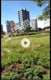 广东湛江 156平米（10.4*15） 宅基地 使用权出租