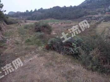 曲靖宣威市 70亩 水浇地 经营权出租