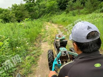 延边汪清县 3300亩 有林地 经营权转让