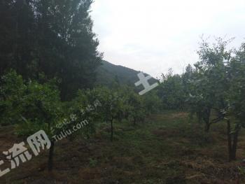 辽宁阜新 3000亩 有林地 经营权转让