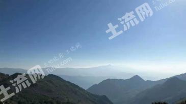 临沧永德县 200亩 有林地 经营权转让