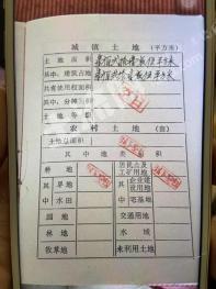 湛江雷州市120平米商業(yè)及住宅-宅基地使用權(quán)出租