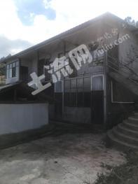 云南大理 67亩 有林地 经营权转让