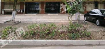 防城港东兴市170平米商业及住宅-宅基地使用权出租