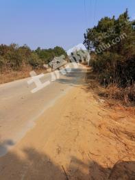 上饶余干县80亩灌木林地经营权转让