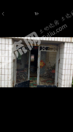 吉林四平 500平米 农家庭院 出租