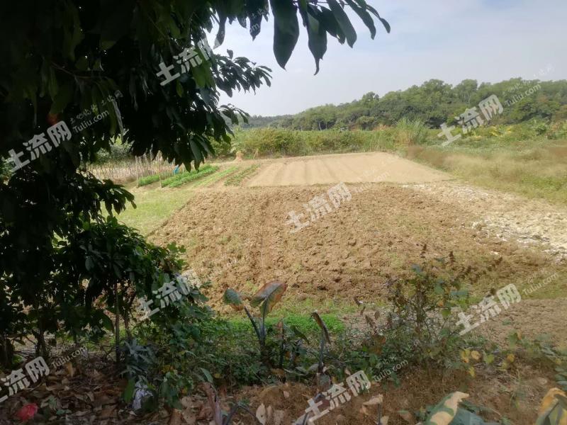 广东中山15亩旱地出租