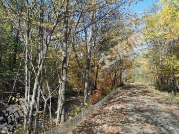 延边安图县 6710亩 农场 使用权转让